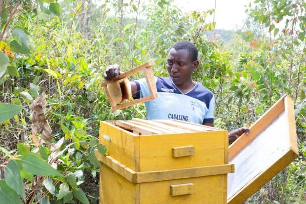 11588300 1772951247 Body 351V5Cc 