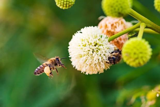 14165926 1772951247 Body JWexot59