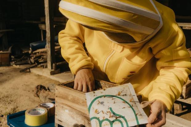 18925403 1772951247 Body IImLjNVG