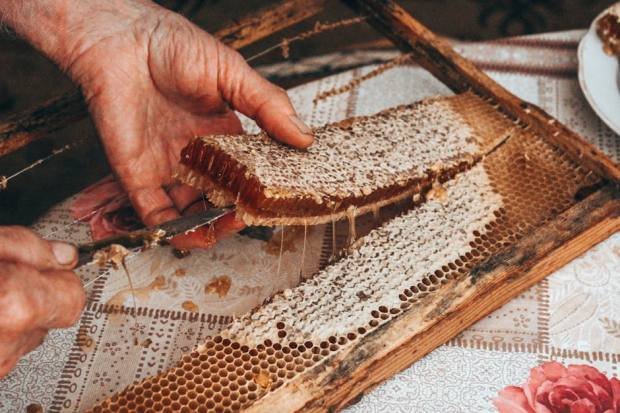 27907488 1772920049 Body 9OostdiF