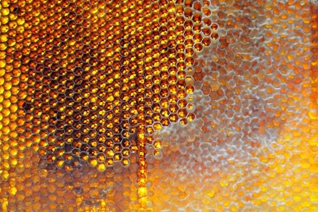 32489540 1772924900 Body SdYZOVGM