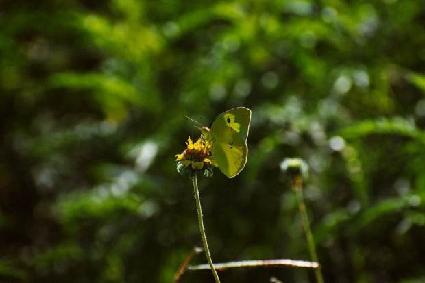 33461926 1773009091 Body Ji2EyJxl