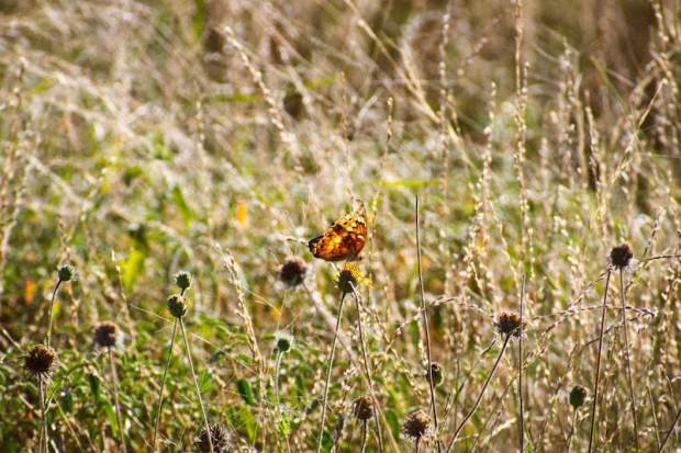 33461927 1773009091 Body Eq4ohbni