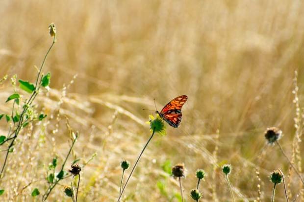 33615373 1773009091 Body RiBnTfi8