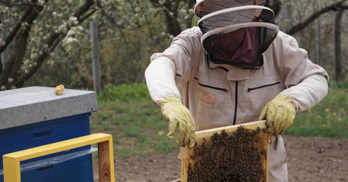 Where To Buy Raw Honey In Bandera, TX