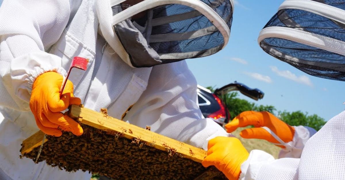 Honey Farm In Arlington, TX