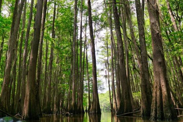 5034538 1772929819 Body Ks5USfDR