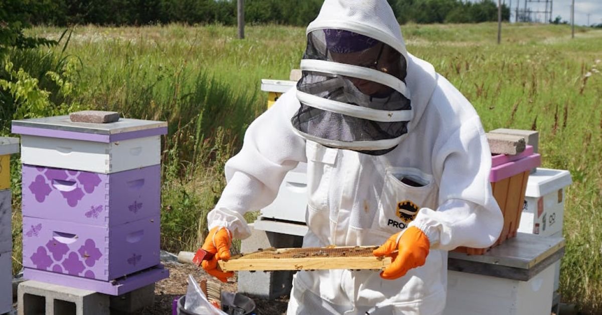 How to Understand the Science Behind Local Raw Texas Honey and Your Allergies