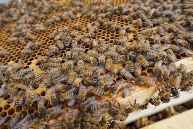 8227219 1773012148 Body OJ1tI69E