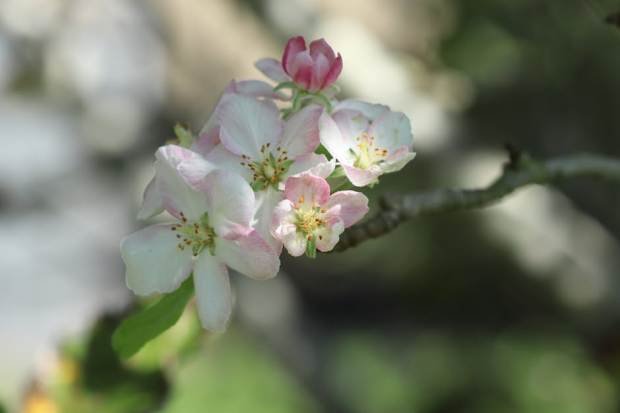 9959011 1773008490 Body AWfnMCx 