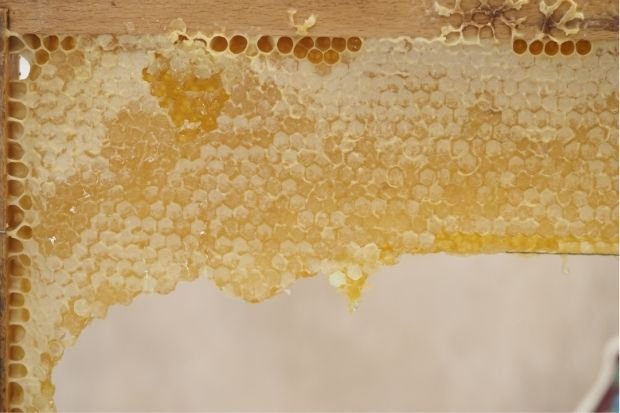 Honeycomb With Dripping Honey