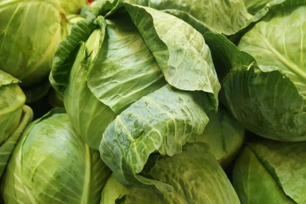 Close-up of fresh organic green cabbages at a market in Humble, Texas.