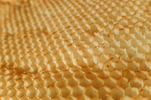 Detailed texture of a honeycomb showcasing hexagonal wax pattern.