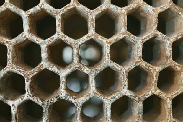 Detailed macro shot of an empty honeycomb structure revealing geometric patterns.