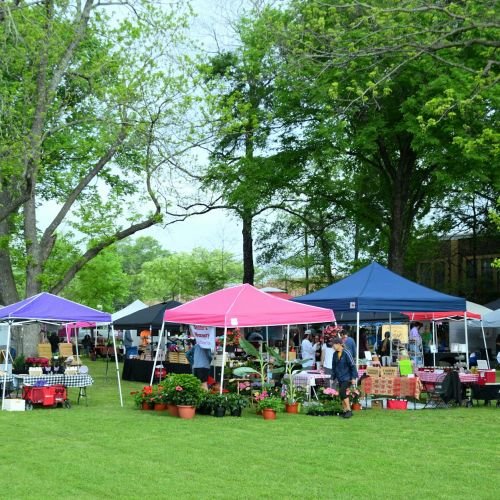 What to Look For When Choosing North Texas Honey: 15 Key Questions for Buyers